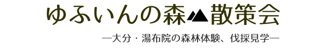 ゆふいんの森 散策会