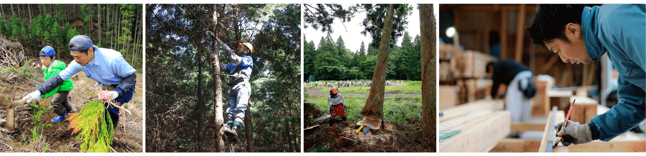 山を守ることは、自然環境を守ること