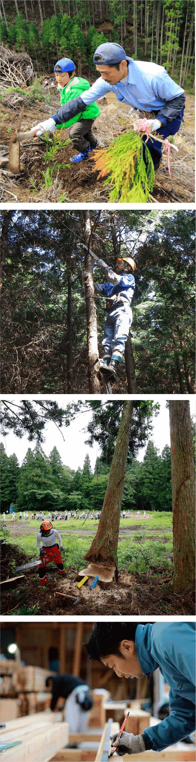 山を守ることは、自然環境を守ること